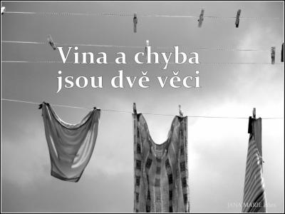 Vina a chyba jsou dv vci